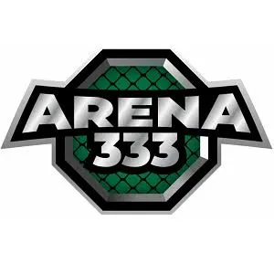 ARENA333 - Serunya Bermain Game Casual yang Menyenangkan